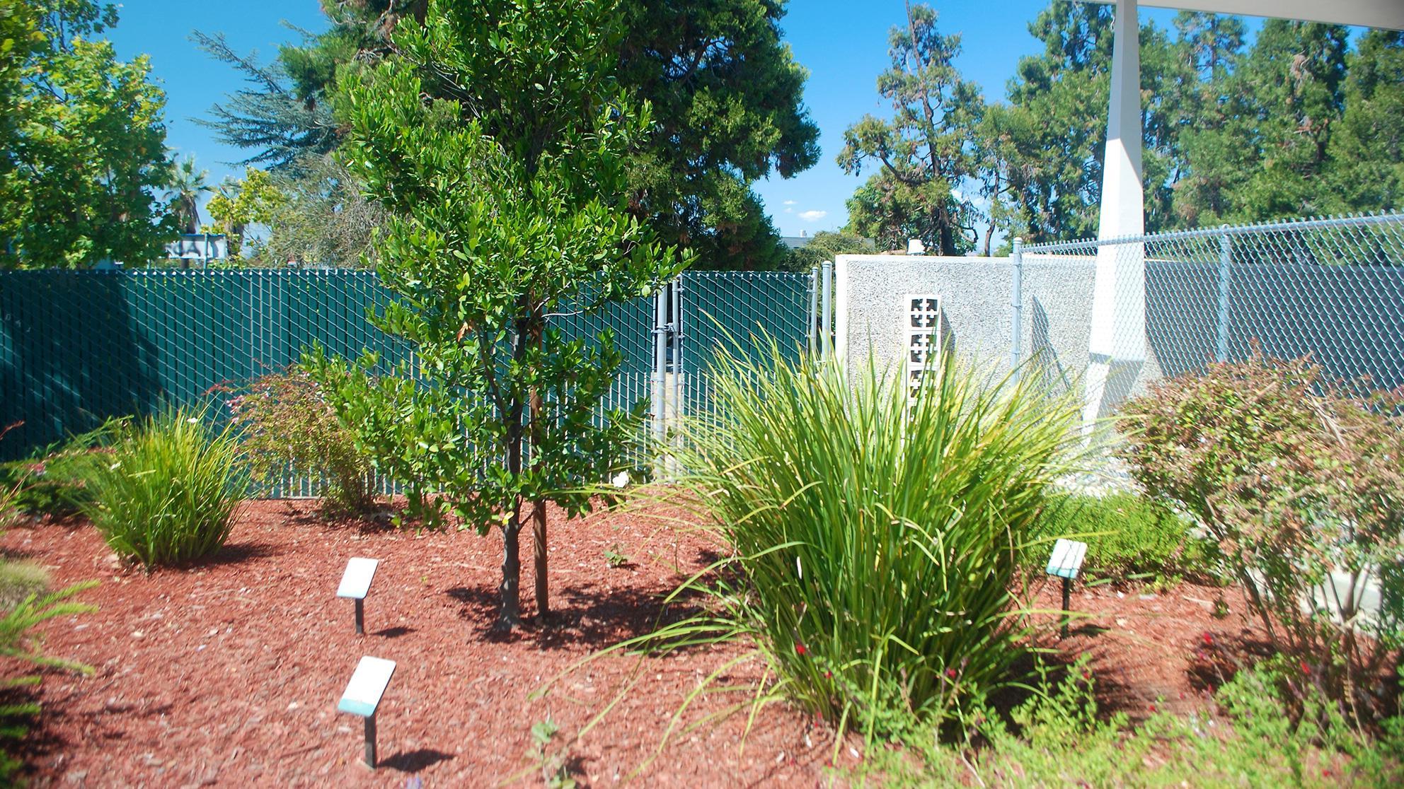 Image of the San Jose Water demonstration garden